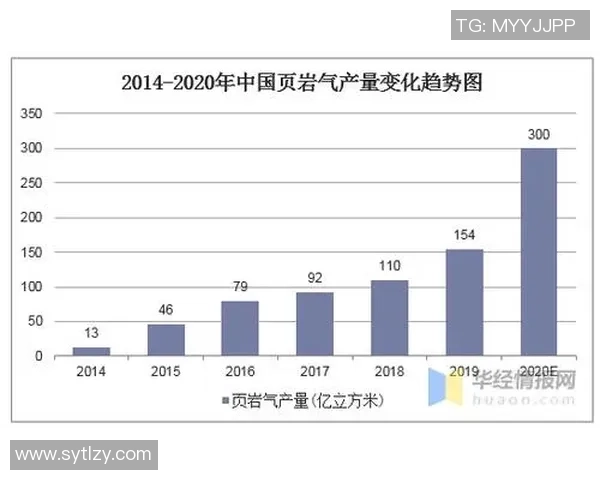 网球运动的技术演进与全球化发展趋势分析 网球运动的技术演进与全球化发展趋势分析